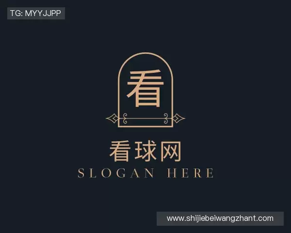 关于看球网
